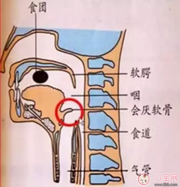寶寶吃飯時(shí)爸爸的這個(gè)舉動(dòng) 險(xiǎn)些讓他送命！
