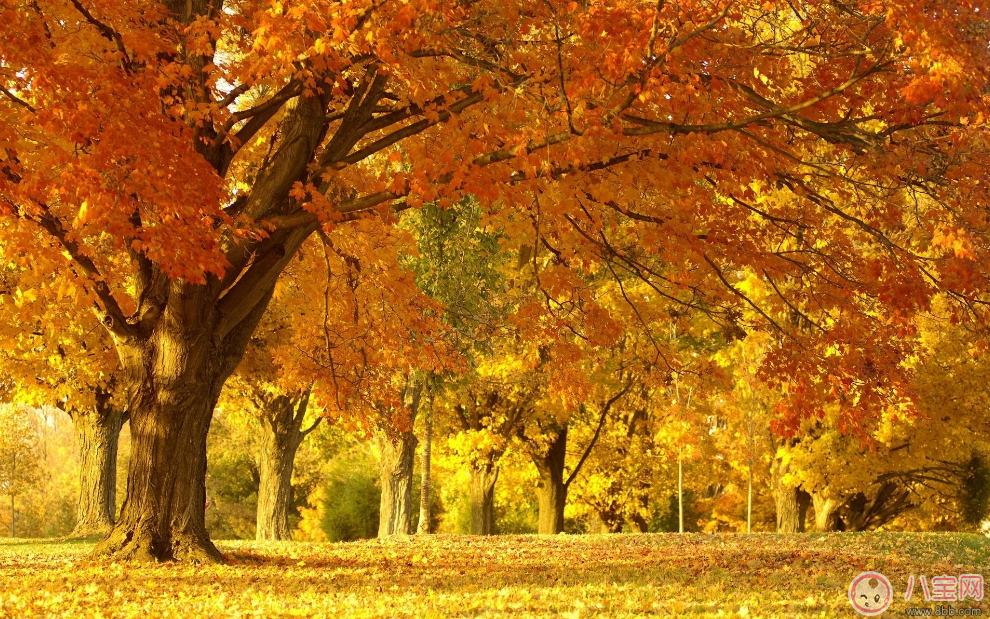 出伏第一天這樣做能過的更好 2017出伏小指南