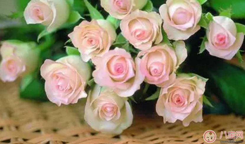 2017七夕節(jié)應(yīng)該送老婆什么禮物最有心？