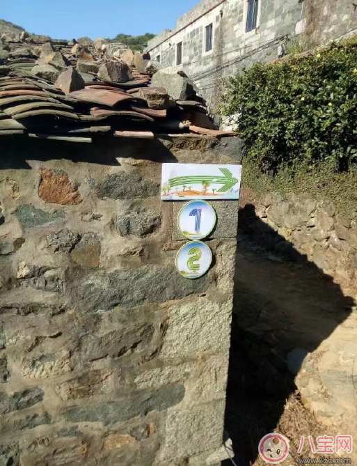 爸爸去哪兒5什么時(shí)候播 爸爸去哪兒5播出時(shí)間