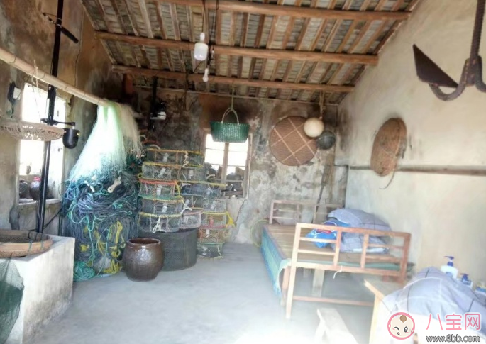 爸爸去哪兒5什么時(shí)候播 爸爸去哪兒5播出時(shí)間