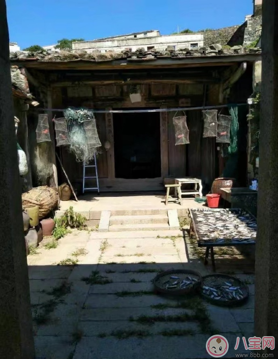 爸爸去哪兒5什么時(shí)候播 爸爸去哪兒5播出時(shí)間