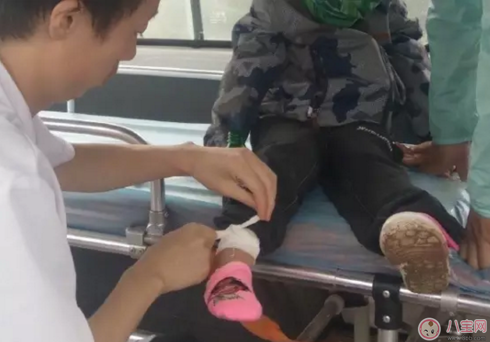 樂(lè)嘉帶4歲女兒穿越沙漠徒步76公里 女兒腿上發(fā)滿皰疹