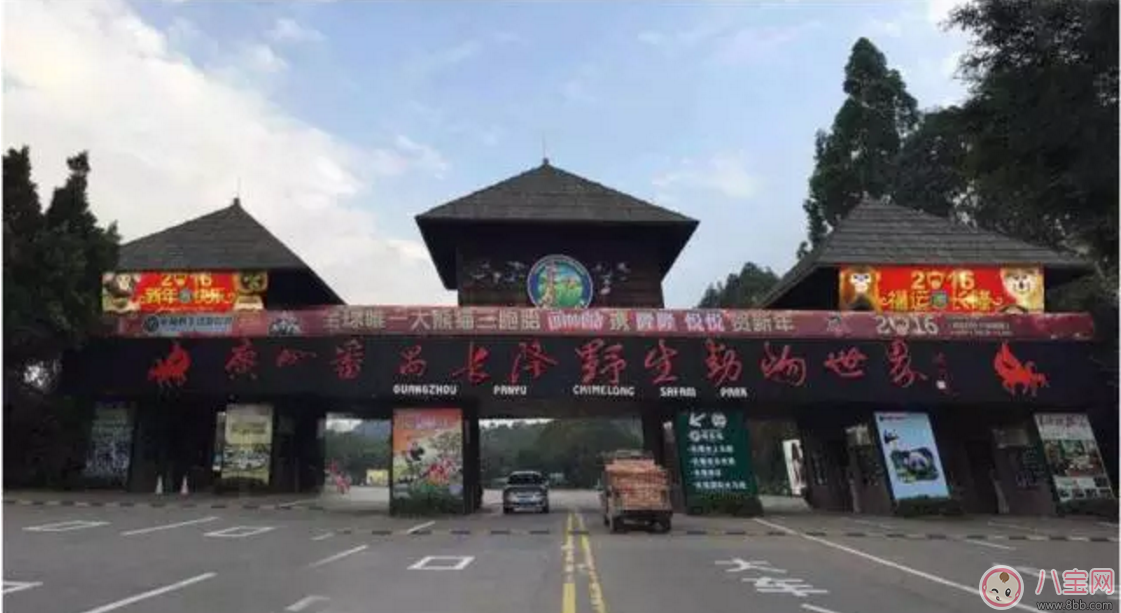 2017七夕節(jié)全家出游  看看長隆親子攻略