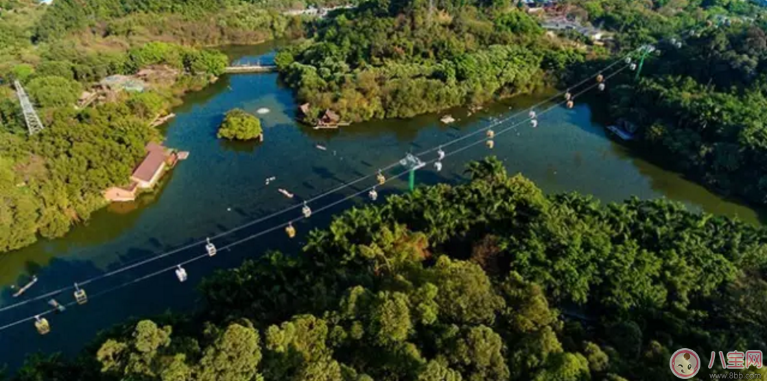 2017七夕節(jié)全家出游  看看長隆親子攻略