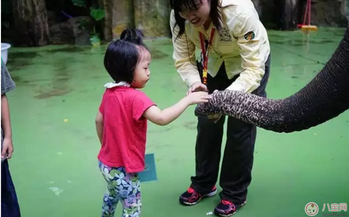 2017七夕節(jié)全家出游  看看長隆親子攻略