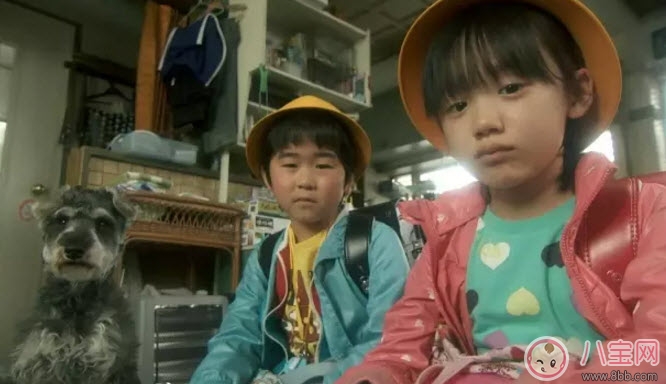 剛學(xué)說話的寶寶要不要和他說方言 家庭語言雜亂家長怎么教