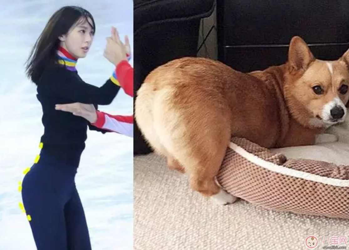 李菲兒柯基臀成最新身材標(biāo)準(zhǔn) 如何擁有柯基臀