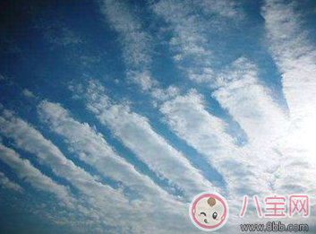 地震孩子如何自救 爸爸媽媽不在身邊怎么保護(hù)自己