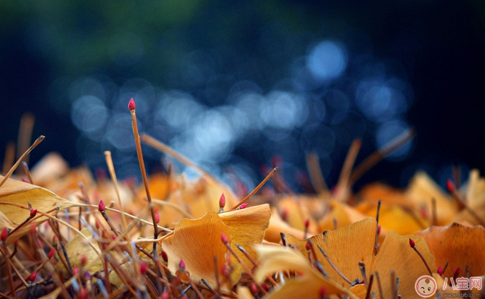 立秋來了為什么還是這么熱 我一定過了一個假的立秋