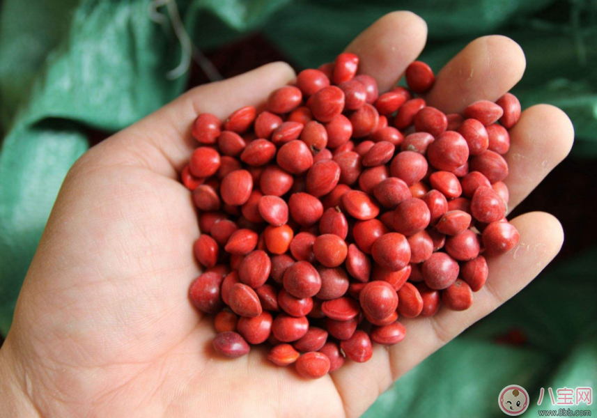 立秋來了為什么還是這么熱 我一定過了一個假的立秋