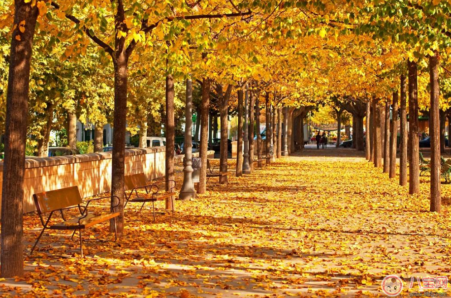 天氣這么熱立秋之后會降溫嗎 秋老虎究竟是什么