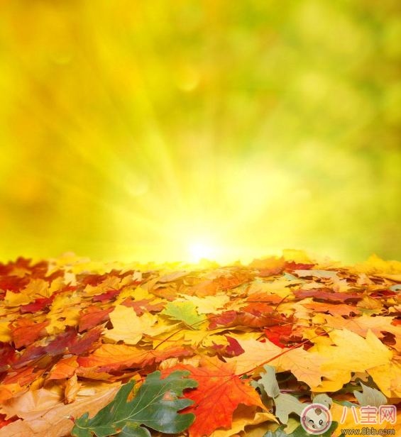 天氣這么熱立秋之后會降溫嗎 秋老虎究竟是什么