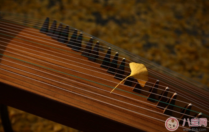 小孩子學(xué)什么樂(lè)器好 適合孩子學(xué)的樂(lè)器有哪些(孩子樂(lè)器啟蒙)