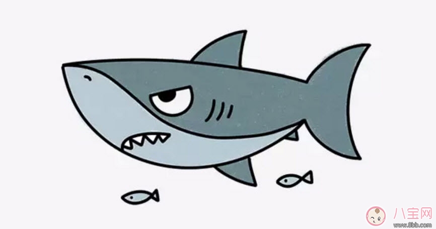 海洋生物趣味多 魚類簡(jiǎn)筆畫