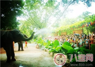 2017七夕節(jié)全家出游攻略 帶娃出行怎么做 2017七夕節(jié)全家出游攻略 帶娃出行怎么做