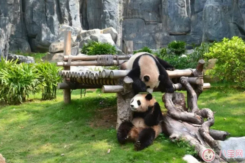 2017七夕節(jié)全家出游攻略 帶娃出行怎么做 2017七夕節(jié)全家出游攻略 帶娃出行怎么做