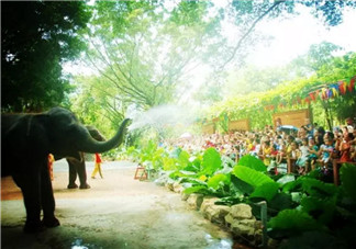 2017七夕節(jié)全家出游攻略 帶娃出行怎么做