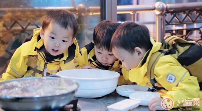 宋家三胞胎家教滿分 花樣教育觀很重要