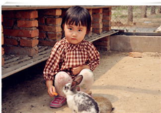 2歲孩子被游樂場小火車碾壓身亡 被忽視的往往是造成悲劇的根源