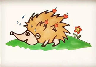 兒童小動物簡筆畫 森林里的小刺猬簡筆畫