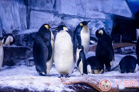 親子游去哪避暑比較好 武漢最佳避暑游玩推薦 親子游去哪避暑比較好 武漢最佳避暑游玩推薦