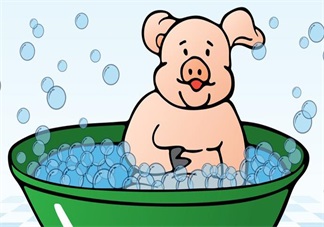 胎寶寶愛(ài)聽(tīng)的胎教故事：小豬萌萌不洗澡