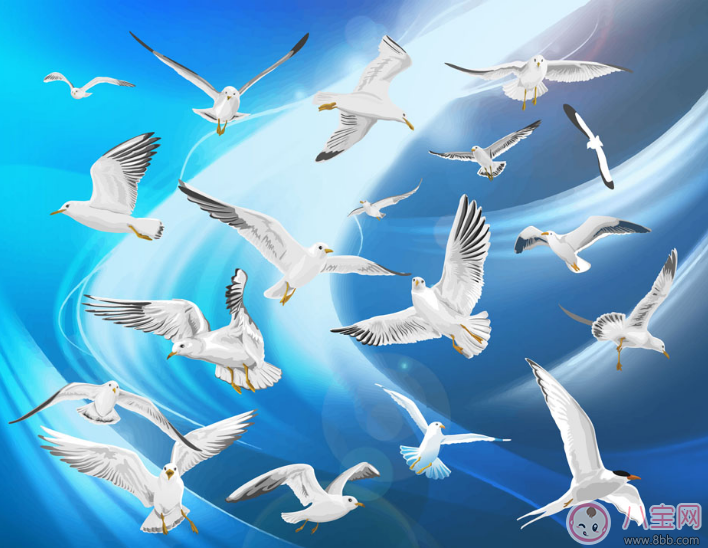 胎寶寶愛(ài)聽(tīng)的胎教故事：勤勞的小鴿子