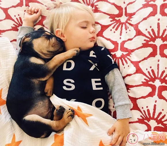 夏天寶寶要不要午睡 小孩夏天午睡好處(有助于幼兒語言發(fā)展)