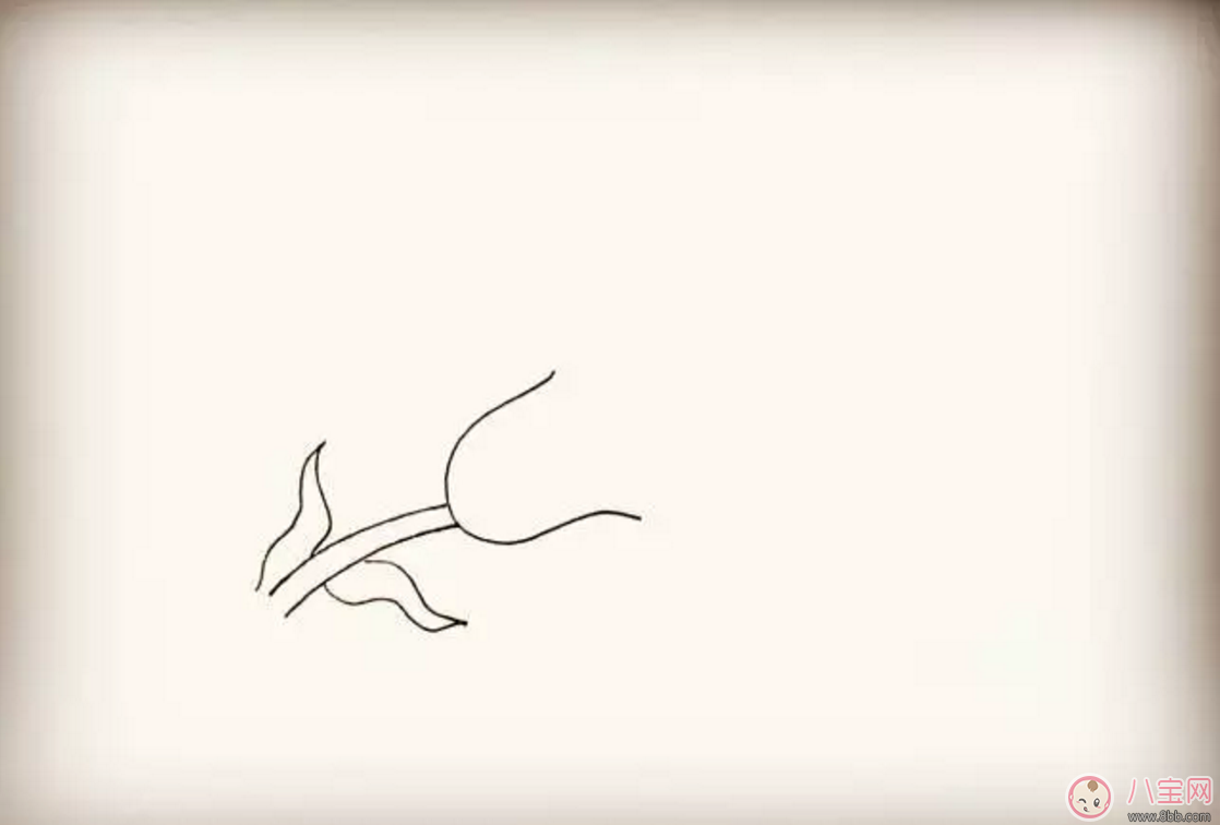 怎么教寶寶花百合花 百合花簡(jiǎn)筆畫(huà)