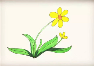 兒童簡(jiǎn)筆畫(huà)太陽(yáng)花 太陽(yáng)花圖片簡(jiǎn)筆畫(huà)步驟
