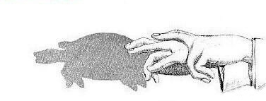 親子游戲手影玩法    有意思的手影推薦