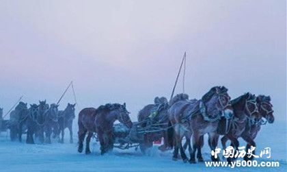 查干湖冬捕頭魚價格多少查干湖冬捕簡介歷史發(fā)展過程介紹