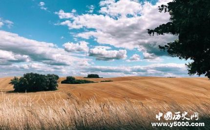 2019蘋(píng)果攝影大賽公布蘋(píng)果攝影大賽發(fā)展歷史報(bào)名標(biāo)準(zhǔn)簡(jiǎn)介