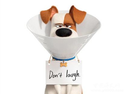 愛(ài)寵大機(jī)密2劇情故事介紹什么時(shí)候上映愛(ài)寵大機(jī)密觀后感