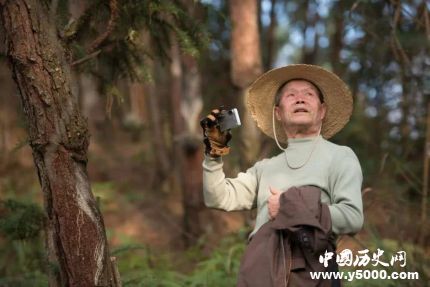 《四個(gè)春天》劇情簡(jiǎn)介上映時(shí)間評(píng)價(jià)怎么樣？