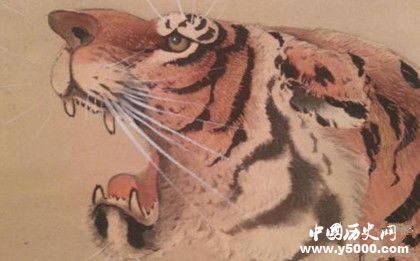 屬虎的人2019年運勢怎么樣屬虎的幸運物是什么