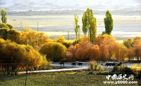 124cc80912b1163bb2111d79d758f0d0.jpg 124cc80912b1163bb2111d79d758f0d0.jpg