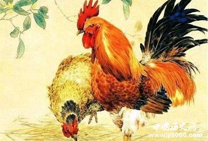 屬雞的人2019年運(yùn)勢(shì)怎么樣屬雞的幸運(yùn)物是什么