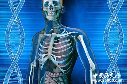 具有透視功能的女孩是誰為什么會(huì)有透視功能能看到什么