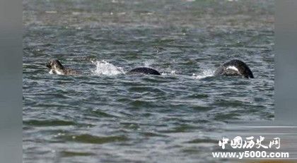 尼斯湖水怪真的存在嗎尼斯湖水怪之謎真相是什么 尼斯湖水怪真的存在嗎尼斯湖水怪之謎真相是什么