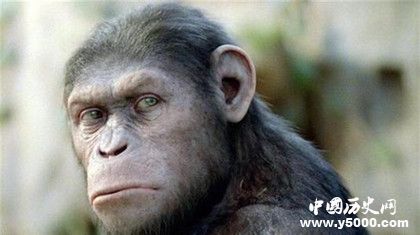 人類是如何形成的？形成人類的基礎條件有哪些？