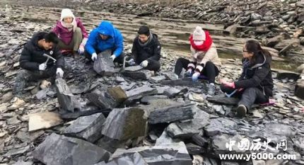 宜昌現(xiàn)清江生物群有哪些價(jià)值和意義？