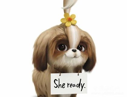 愛寵大機(jī)密2劇情故事介紹什么時(shí)候上映愛寵大機(jī)密觀后感