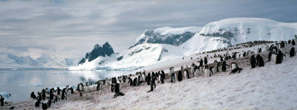 南極洲簡(jiǎn)介南極洲形成原因第一個(gè)到達(dá)南極的人是誰(shuí)？