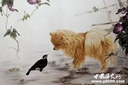 屬狗的人2019年運勢怎么樣屬狗的人幸運物是什么