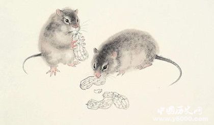 屬鼠的人2019年運(yùn)勢怎么樣屬鼠的幸運(yùn)物是什么