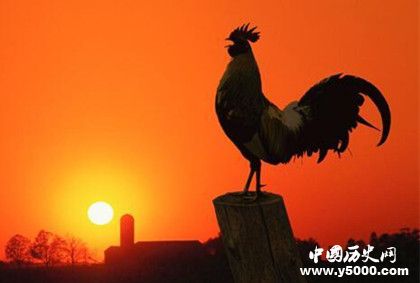 屬雞的人2019年運(yùn)勢(shì)怎么樣屬雞的幸運(yùn)物是什么 屬雞的人2019年運(yùn)勢(shì)怎么樣屬雞的幸運(yùn)物是什么