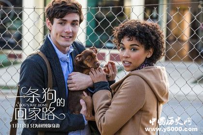 電影《一條狗的回家路》什么時候上映電影劇情內(nèi)容介紹