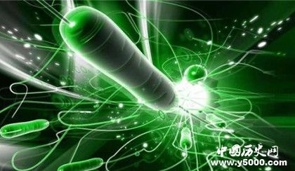 地球上的水是怎么來的 水循環(huán)的過程講解